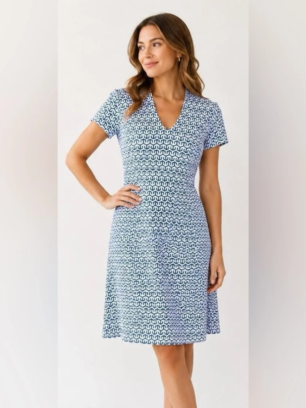 J. McLaughlin Blue Catalina Cloth Dress